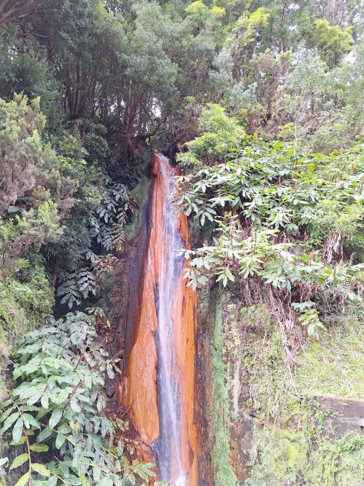 A Caminho Da Ilha Ponta Delgada - Açores Exterior foto